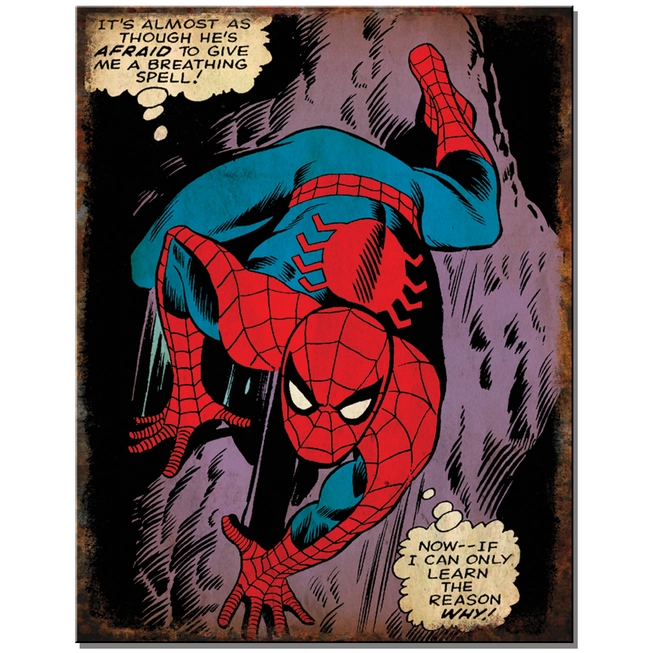 Marvel - Spider Man Wall Ziggy's Pop Toy Shoppe